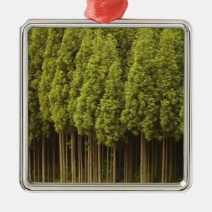 Koya Sugi Cedar Trees Metal Tree Decoration