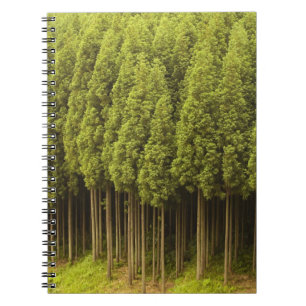 Koya Sugi Cedar Trees Notebook