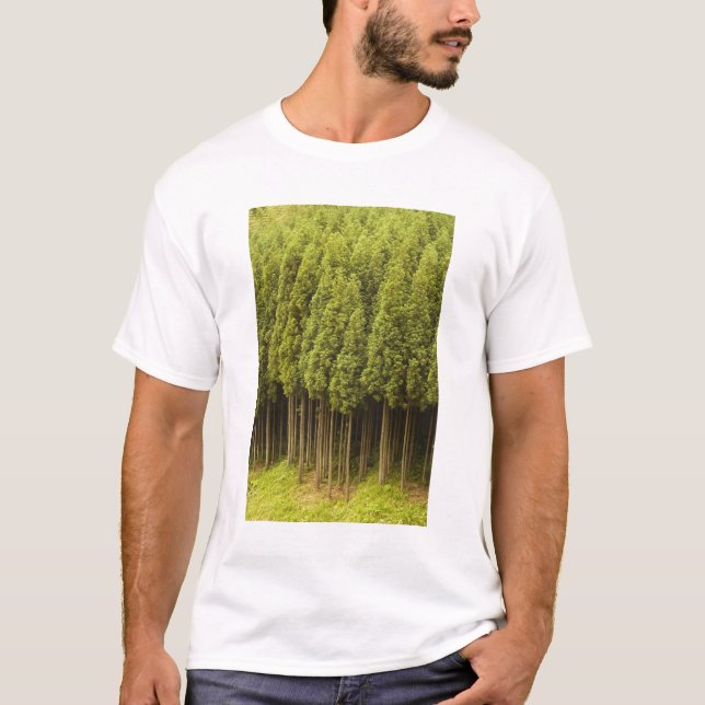 Koya Sugi Cedar Trees T-Shirt (Front)