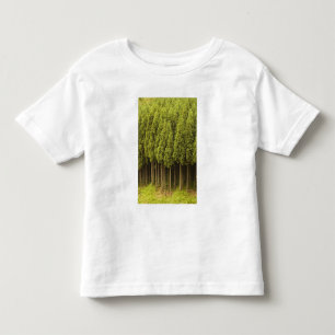 Koya Sugi Cedar Trees Toddler T-Shirt