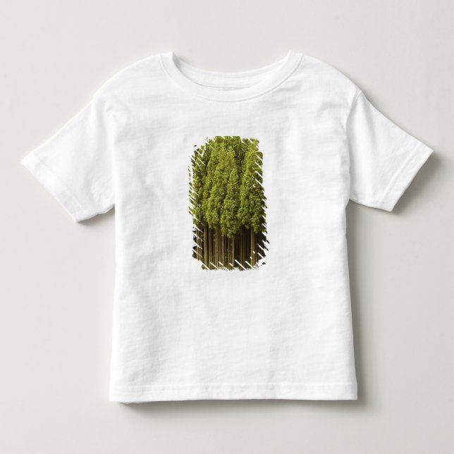 Koya Sugi Cedar Trees Toddler T-Shirt (Front)
