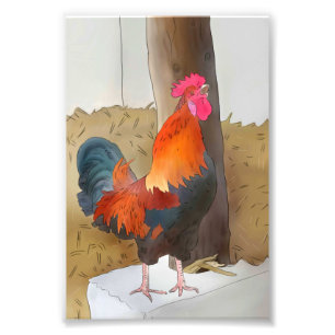 Krähender Hahn Photo Print