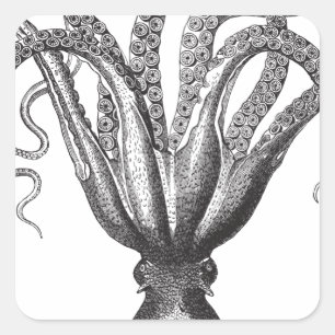 Krake / The Kraken Square Sticker