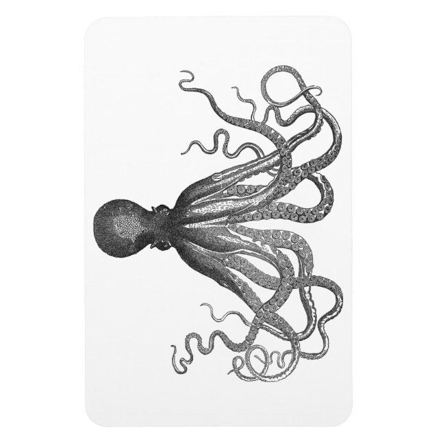 Kraken - Black Giant Octopus / Cthulu Magnet (Vertical)
