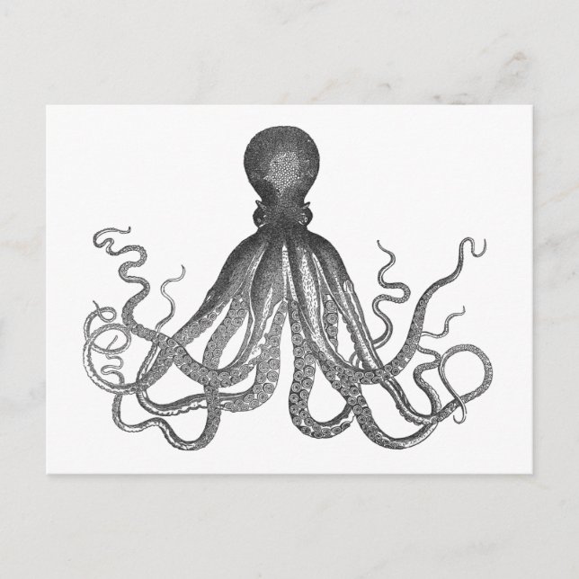 Kraken - Black Giant Octopus / Cthulu Postcard (Front)