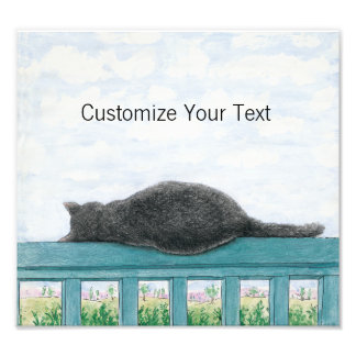 Kramer The Cat Sleeping On The Balcony Photo Print