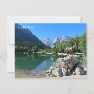 Kranjska Gora Slovenia Postcard