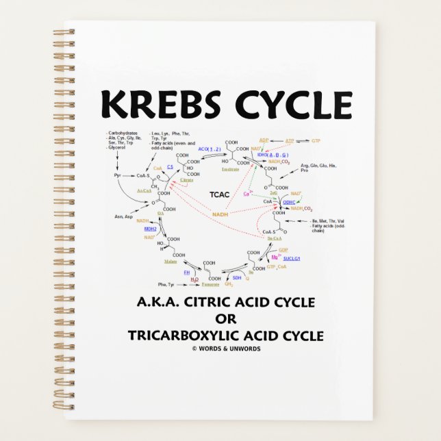 Krebs Cycle A.K.A. Citric Acid Cycle Tricarboxylic Planner (Front)