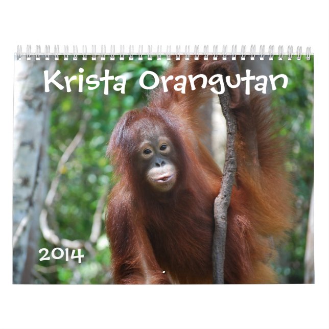 Krista Orangutan 2014 Wildlife Photography Calendar (Cover)