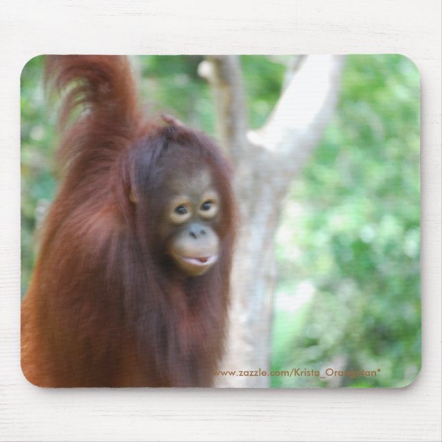 Krista Orangutan Jungle Animal Conservation Mouse Mat (Front)