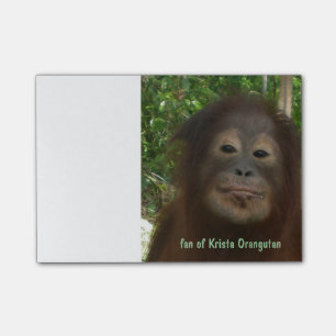 Krista Orangutan Post-it Notes