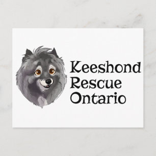 KRO Notecard Postcard