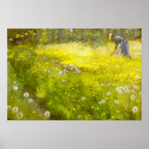 Kroyer's Garden at Skagen Poster