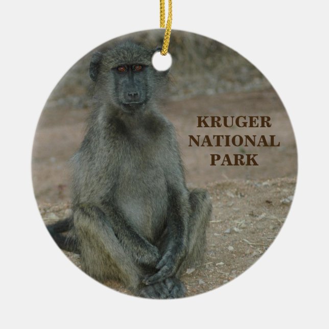 Kruger National Park Christmas Ornament (Front)