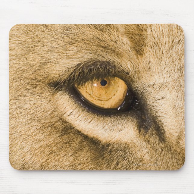 Kruger National Park, Limpopo Province Mouse Mat (Front)