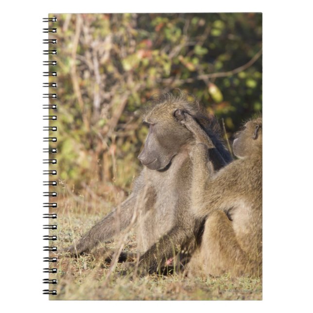 Kruger National Park, South Africa Notebook (Front)