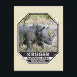 Kruger National Park South Africa Rhino Watercolor Postcard<br><div class="desc">Kruger National Park watercolor design. The park's high density of wild animals includes the Big 5: lions,  leopards,  rhinos,  elephants and buffalos.</div>