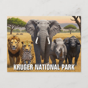 Kruger National Park South Africa Travel Postcard
