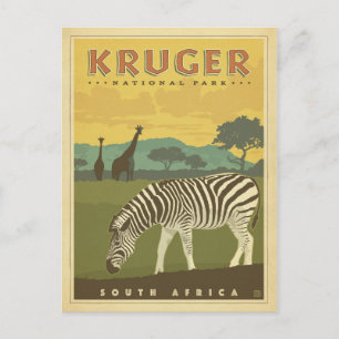 Kruger National Park, South Africa   Zebras & Gira Postcard