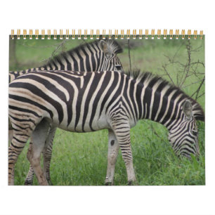 Kruger National Park wildlife calender Calendar