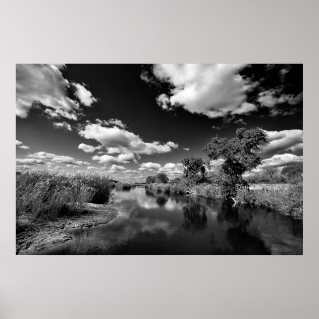 Kruger Quiescence Poster (Front)