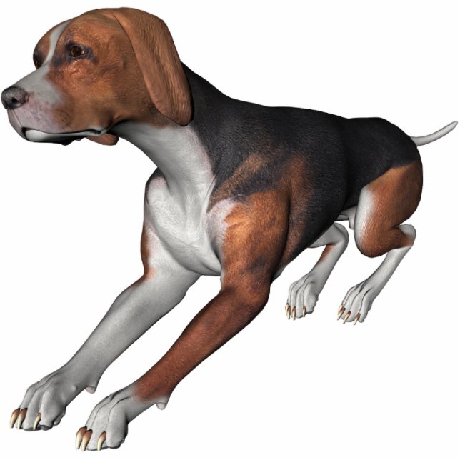 KRW Black and Tan Coonhound Standing Photo Sculpture (Front)