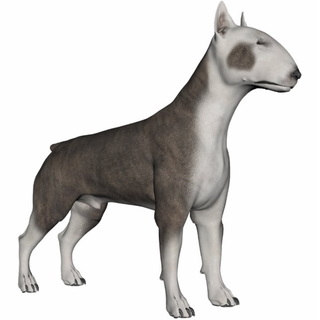 KRW Bull Terrier Standing Photo Sculpture (Front)