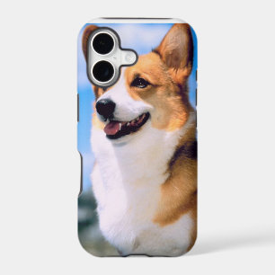 KRW Corgi Dog iPhone 5 Case