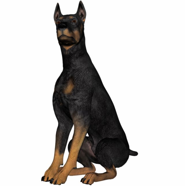 KRW Doberman Pinscher Standing Photo Sculpture (Front)