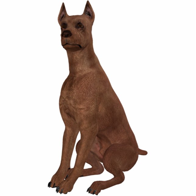 KRW Miniature Pinscher Standing Photo Sculpture (Front)