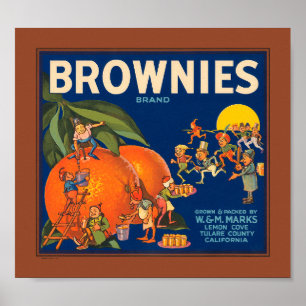 KRW Vintage Brownies Brand Oranges Fruit Crate Lab Poster