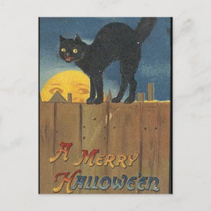 KRW Vintage Halloween Back Cat Postcard