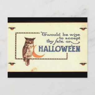 KRW Vintage Halloween Owl Holiday Postcard