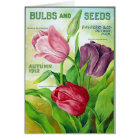 KRW Vintage Perry Seed Catalogue 1912 Card