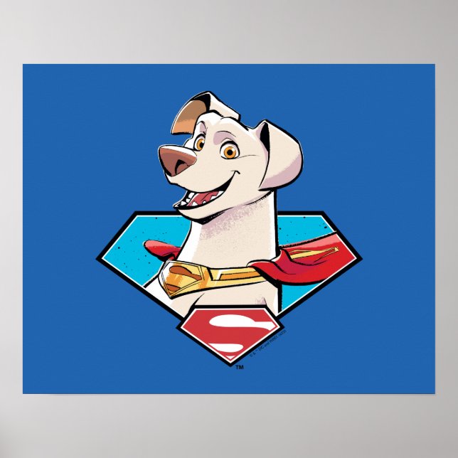 Krypto S-Shield Graphic Poster (Front)