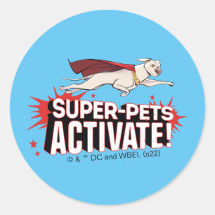Krypto: Super-Pets Activate! Classic Round Sticker