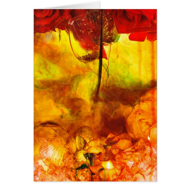 krystyl garden collection (Front)