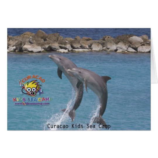 ksc_dolphin_, Curacao Kids Sea Camp Card