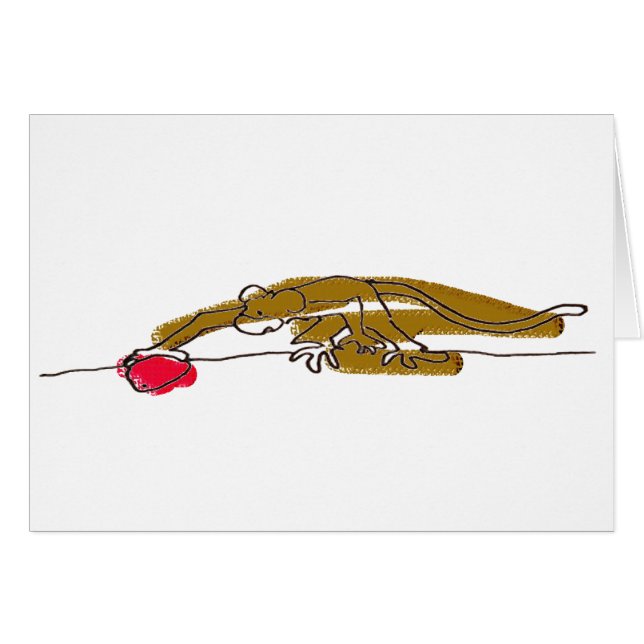 Kt' Tau poster book tour card 01 (Front Horizontal)