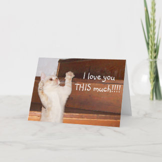 Ktty cat love card