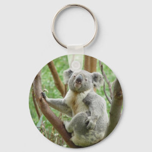 Kuddly Koala Key Ring