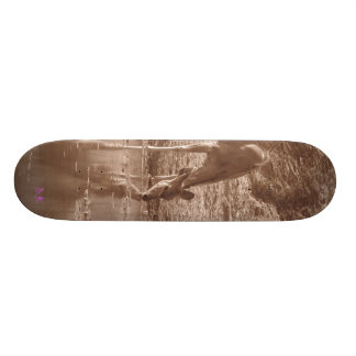 Kudu at water skateboard