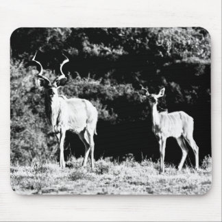 Kudu bull and cow in black & white - Mousepad