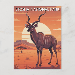 Kudu in Etosha National Park Namibia Travel Postcard