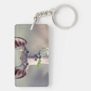 Kudu portrait key ring