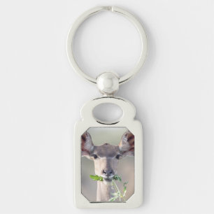 Kudu portrait key ring