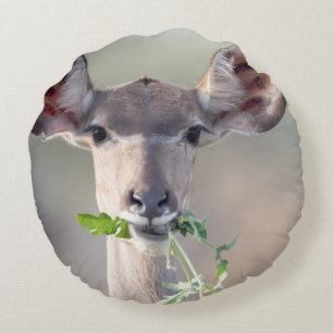 Kudu portrait round cushion