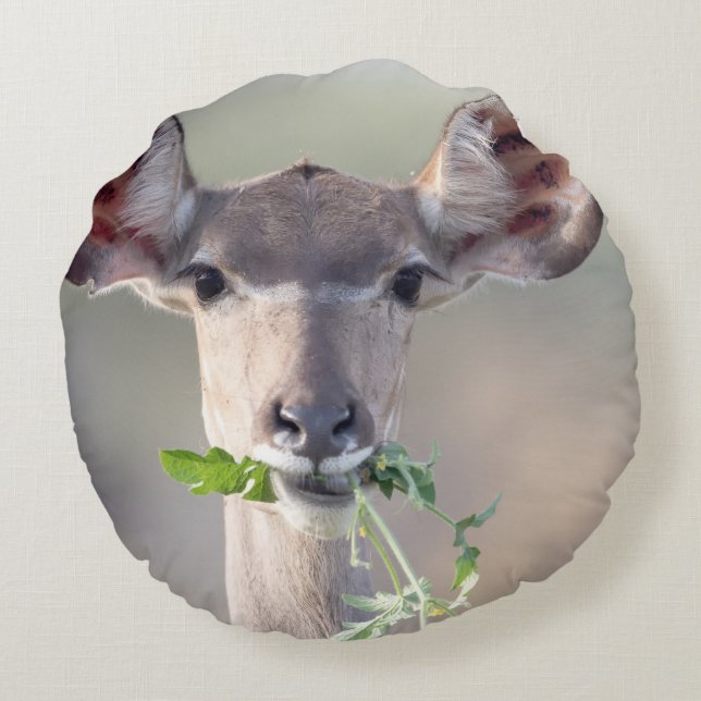 Kudu portrait round cushion (Back)