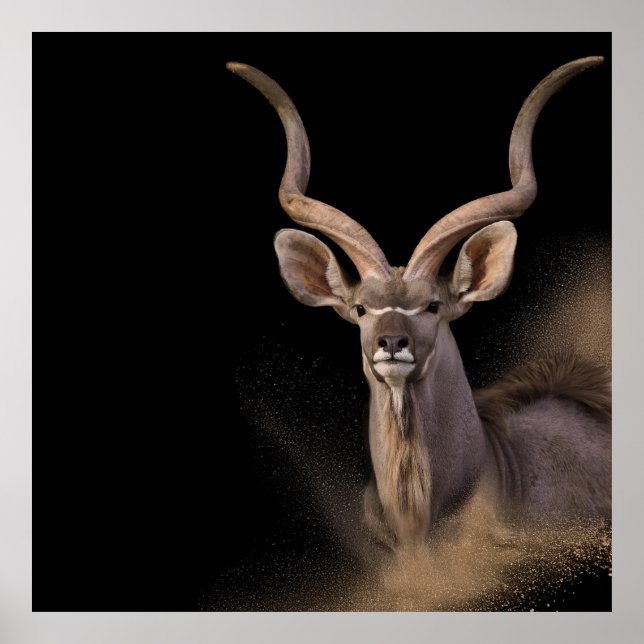 Kudu’s Spirit Poster (Front)