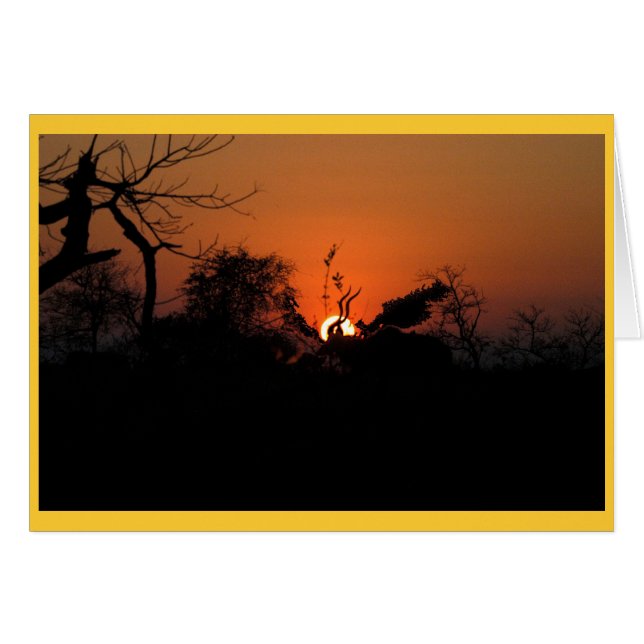 Kudu Sunset (Front Horizontal)